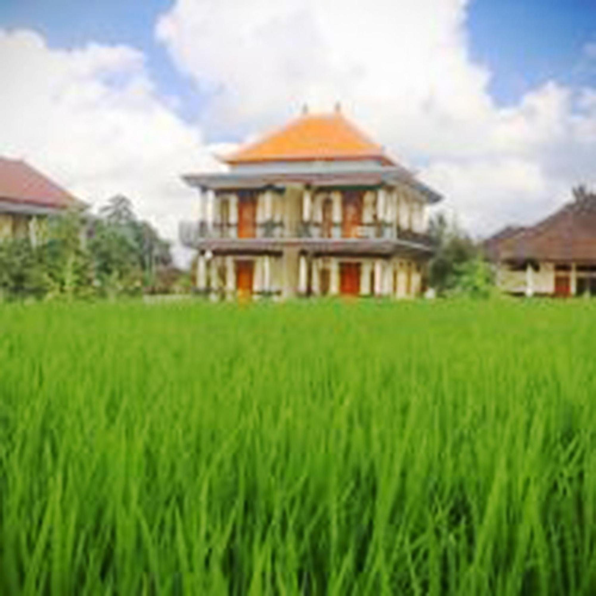 Puri Prana Guest House Ubud  Exterior photo