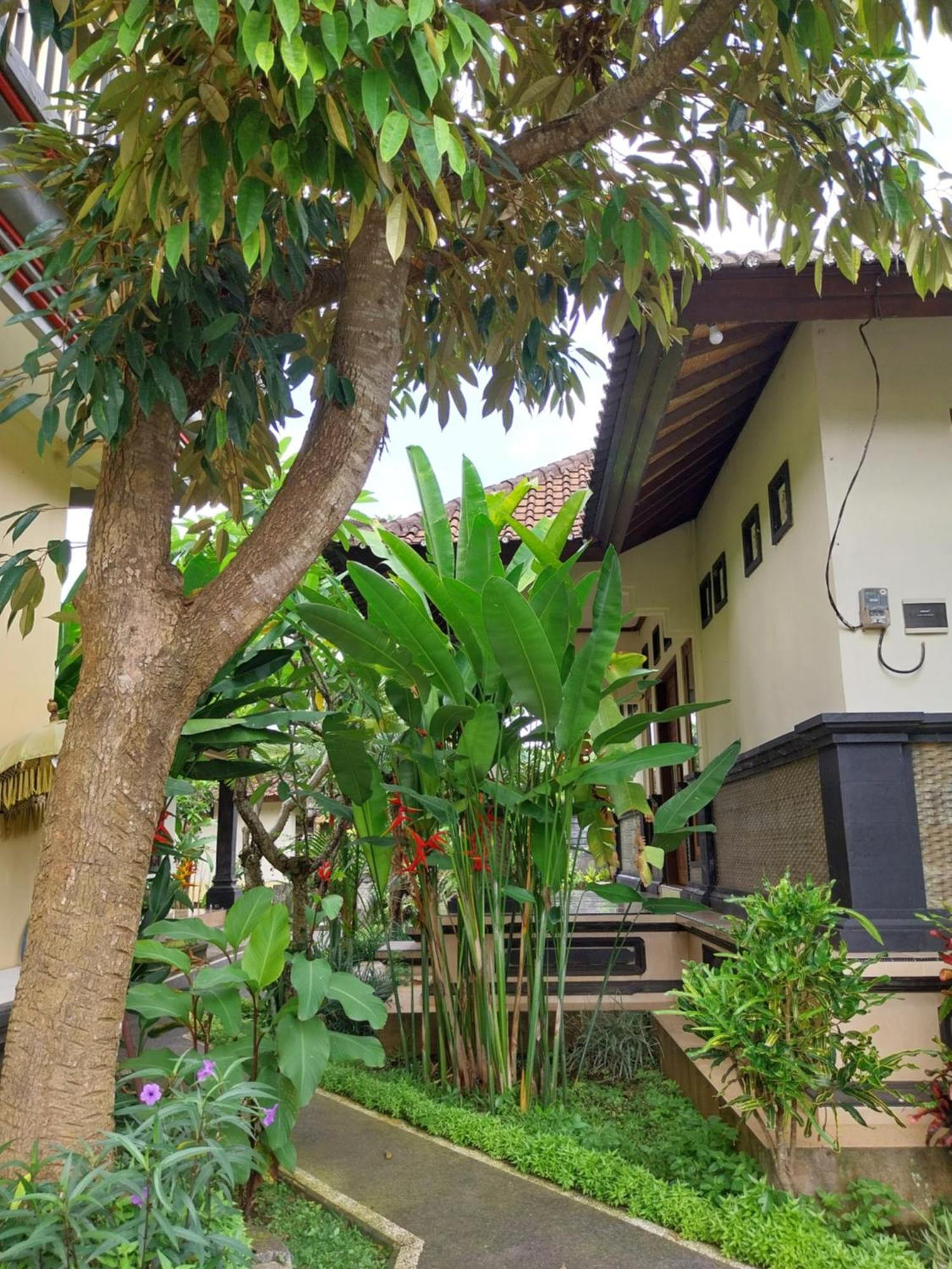 Puri Prana Guest House Ubud  Exterior photo
